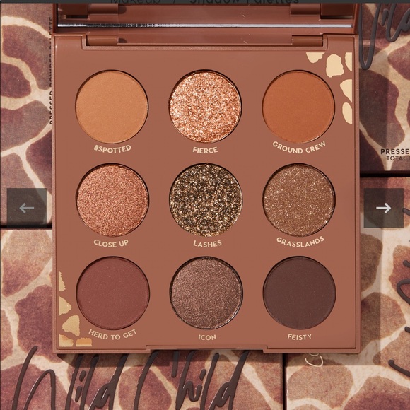 Colourpop Other - Eyeshadow pallet “wild child”